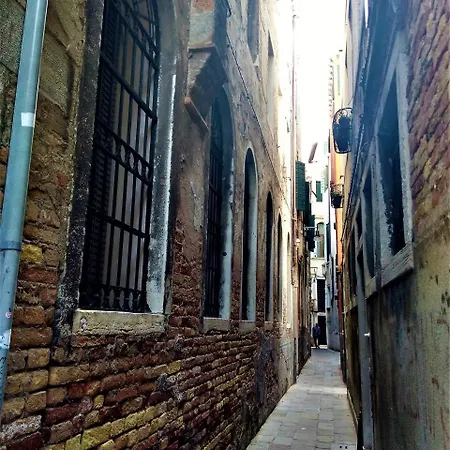 Ve-nice Formosa C5141 *