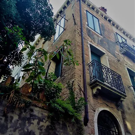 Ve-nice Formosa C5141 *