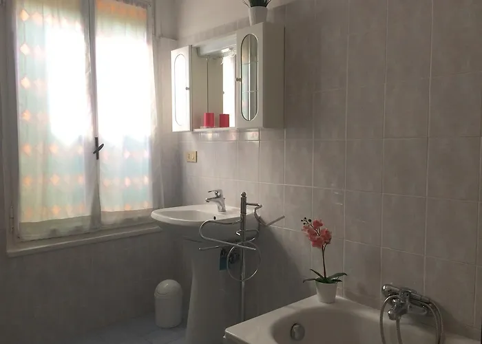 Ve-nice Formosa C5141 *